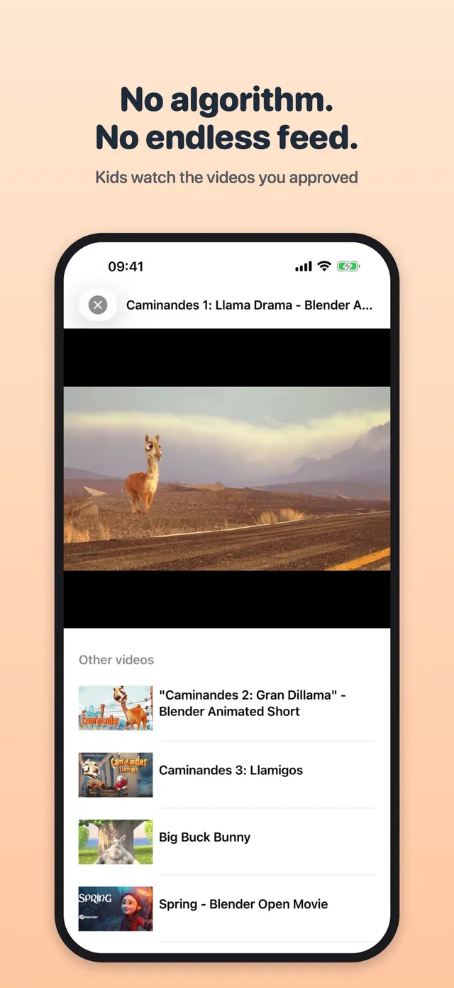 LittleTube — capturas de tela 2